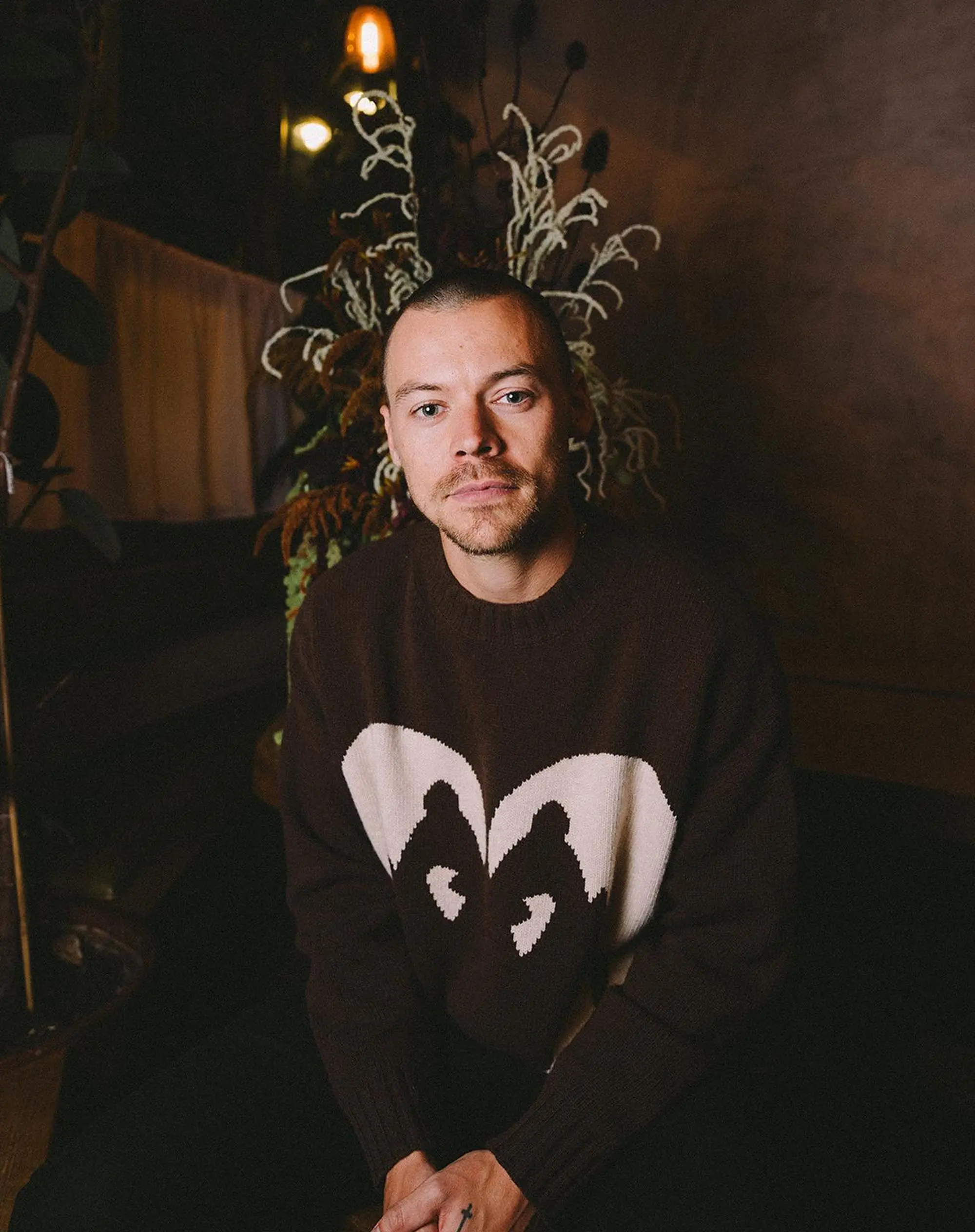 Harry Styles Unveils New Buzz Cut Look, Stirring Mixed Reactions Among Fans